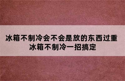 冰箱不制冷会不会是放的东西过重 冰箱不制冷一招搞定